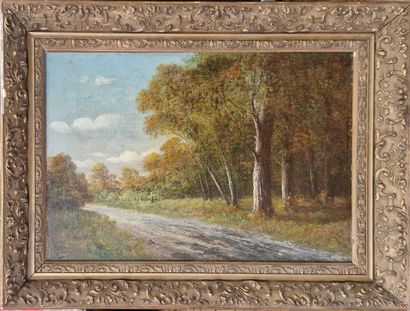 MERLE JH (XX)
Paysage lacustre - promeneuse...