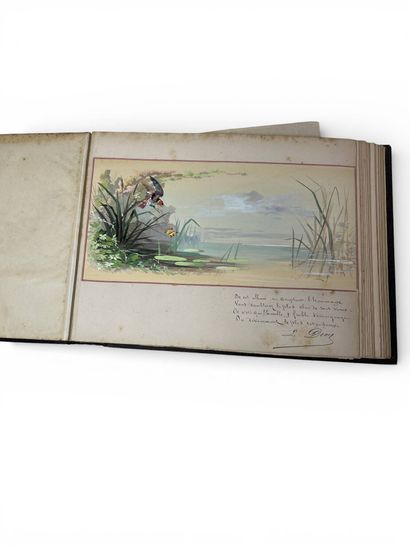 Set of two photographic albums. Circa 1870-1900.
-...