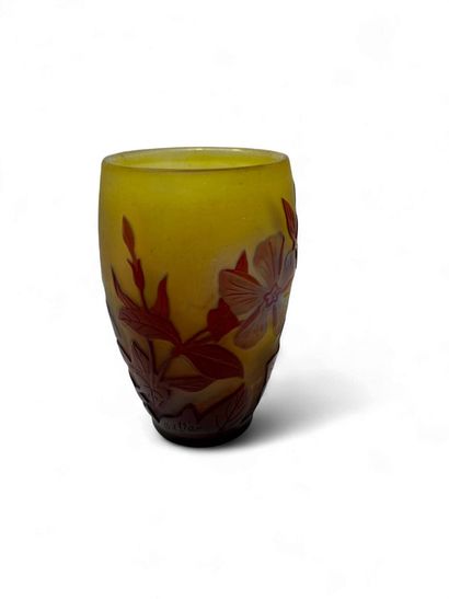 TRAVAIL FRANCAIS XX
Vase en verre multicouche...