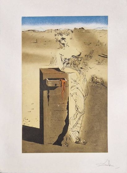 DALI Salvador, d'après
Espagne
Chomolithographie...