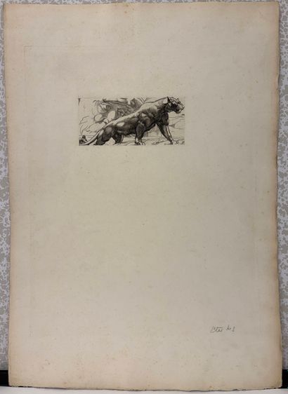 POUGHÉON Eugène Robert, 1886-1955	
Illustrations...