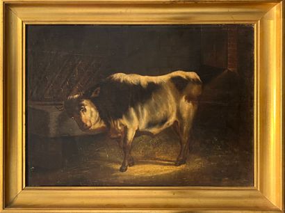BAELEN G (XIX) 
Bull in the stable 
Oil on...