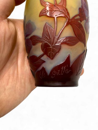 TRAVAIL FRANCAIS XX
Vase en verre multicouche...