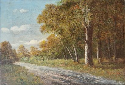 MERLE JH (XX)
Paysage lacustre - promeneuse...