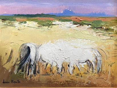 BENITO Juan (born 1944)
Camargue landscape
Oil...