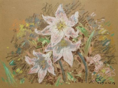 PÉGURIER Alphonse, 1856-1936, 
Lys, 
pastel...