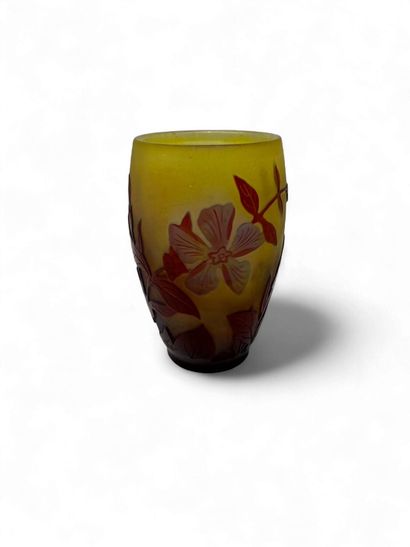 TRAVAIL FRANCAIS XX
Vase en verre multicouche...