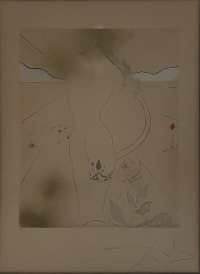 DALI Salvador, 1904-1989, 
Nu à la jarretière,...