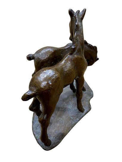 AKKERMANN Sabine (1907-1985)
Deux poulains,...