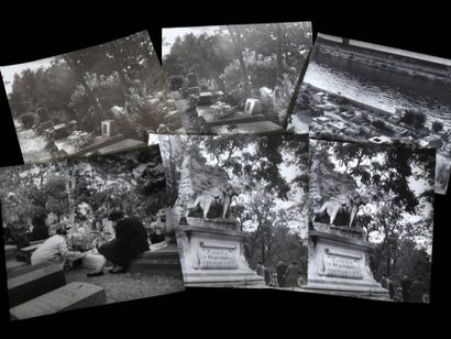 Edith MICHAELIS (20th century). Series on...