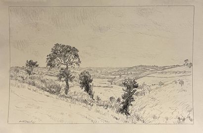 DAUCHEZ André (1870-1948)
Paysage aux arbres
Mine...