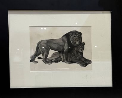 GUYOT Lucien, d'après 
Lion et Lionne
Lithographie...