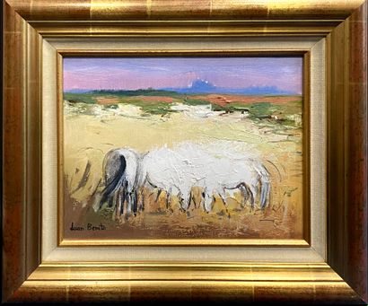 BENITO Juan (born 1944)
Camargue landscape
Oil...