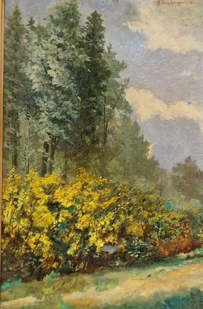 VAN LANGENHOVE Ida (XX)
paysage
Huile sur...