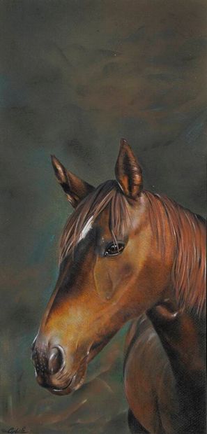 CYBÈLE, XX-XXIème siècle
Cheval
crayons de...