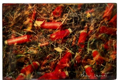 Olivier DASSAULT (1951-2021)
The cartridges;...