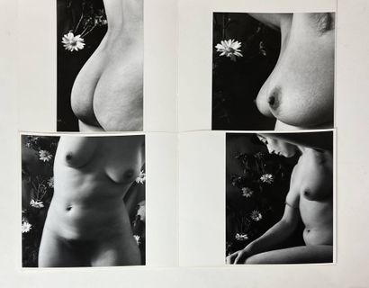 René ROBERT (1936-2022). Nude studies, nude...