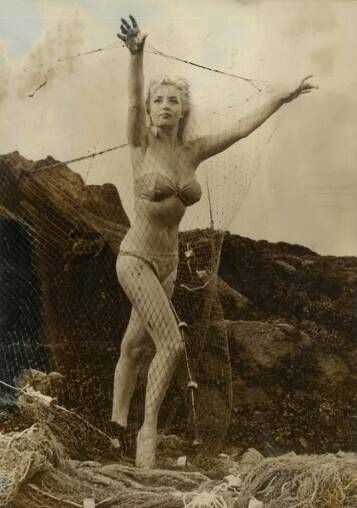 Pin-Up, Miss, actress, woman. Circa 1950-65....