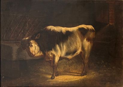 BAELEN G (XIX) 
Bull in the stable 
Oil on...