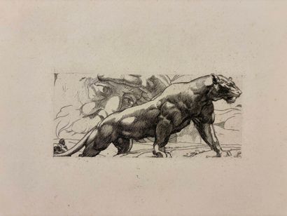 POUGHÉON Eugène Robert, 1886-1955	
Illustrations...