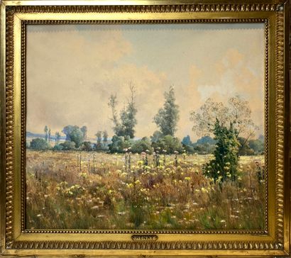 ECOLE MODERNE 
Champ fleuri 
Aquarelle gouachée,...