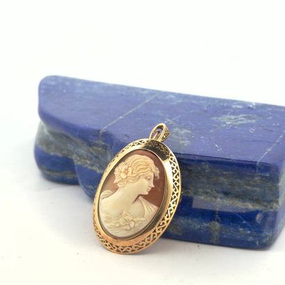 Broche-pendentif ovale en or jaune 18K (750)...
