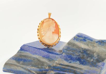Broche-pendentif en or jaune 18K (750) retenant...