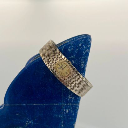 BERNEY-BLONDEAU Genève
Montre bracelet de...