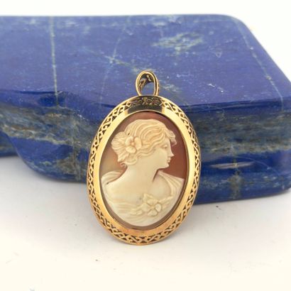 Broche-pendentif ovale en or jaune 18K (750)...