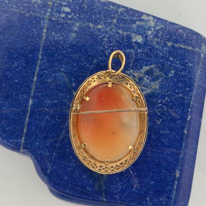 Broche-pendentif ovale en or jaune 18K (750)...