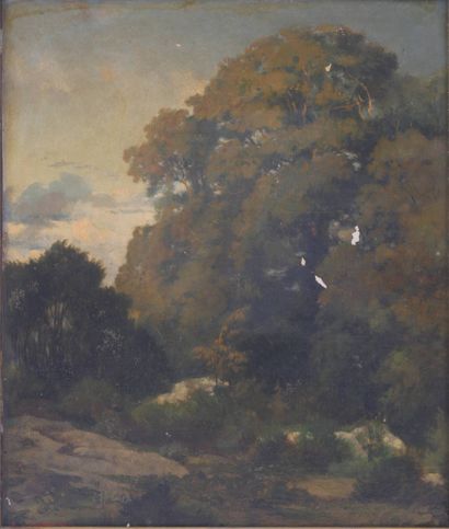 Jules LAURENS (1825-1901) 
Rochers à l'entrée...