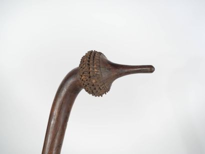 Massue des îles Fidji en bois dur sculpté
Extrémité...