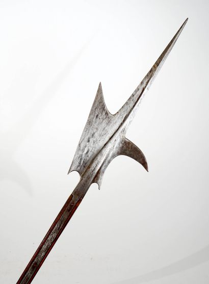 Hallebarde de type germanique.
Long estoc...