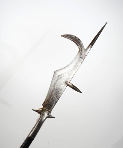 Guisarme de style.
Long estoc quadrangulaire...