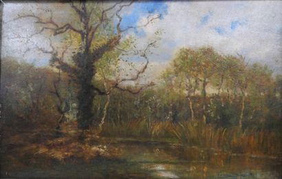 École du XIXe siècle
Paysage arboré
Huile...