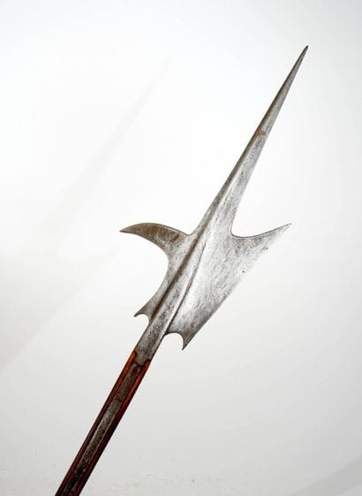 Hallebarde de type germanique.
Long estoc...