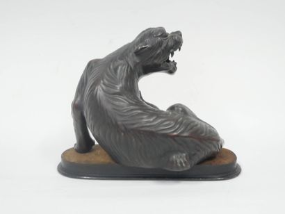 JAPON, époque Meiji
Tigre rugissant 
Épreuve...