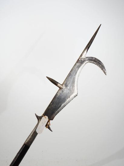 Guisarme de style.
Long estoc quadrangulaire...