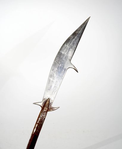 Arme d'hast de type vouge.
Tranchant courbe,...