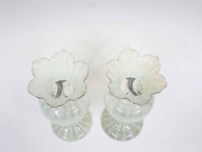 Paire de vases en opaline à décor d'un bouquet...