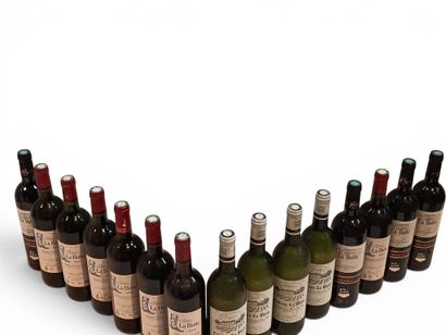 15 Bottles Château La BOTTE - Bordeaux white...