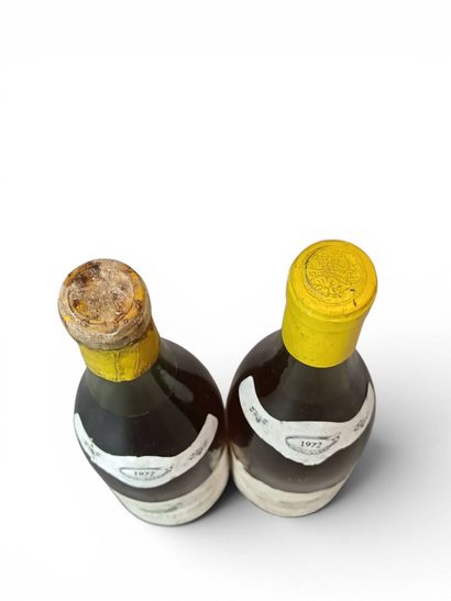 2	Bouteilles	MONTRACHET Pierre Amiot	1972		Etiquettes...