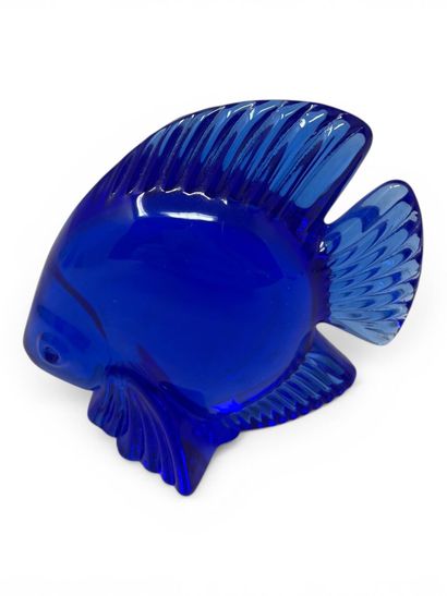 Daum
An exotic fish made of blue crystal,...