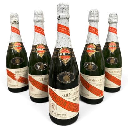 6 bouteilles CHAMPAGNE 