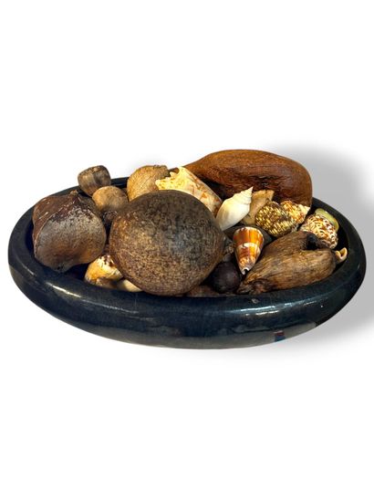 KANAK, Nouvelle-Calédonie, 
Lot de coquillages,...