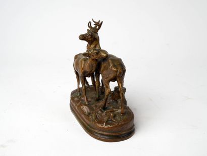 Alfred DUBUCAND (1828-1894)
Cerf et biche.
Groupe...