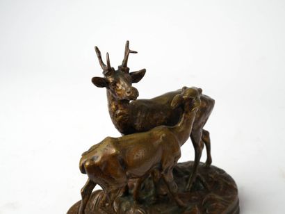Alfred DUBUCAND (1828-1894)
Cerf et biche.
Groupe...