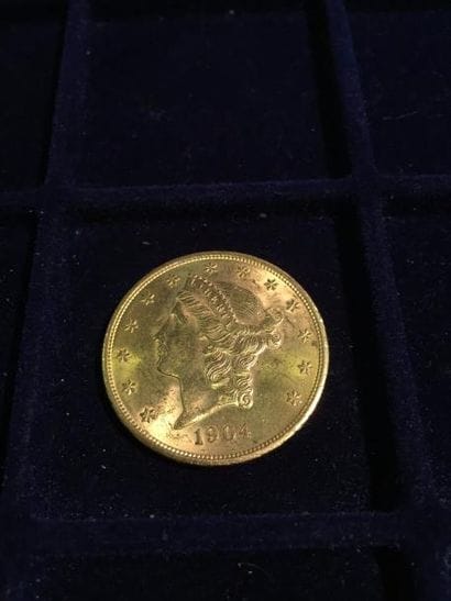 USA

20 dollars Liberté 1904 (TTB)

Av. Tête...