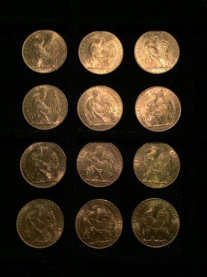FRANCE

12 pièces or 20 francs au Coq 