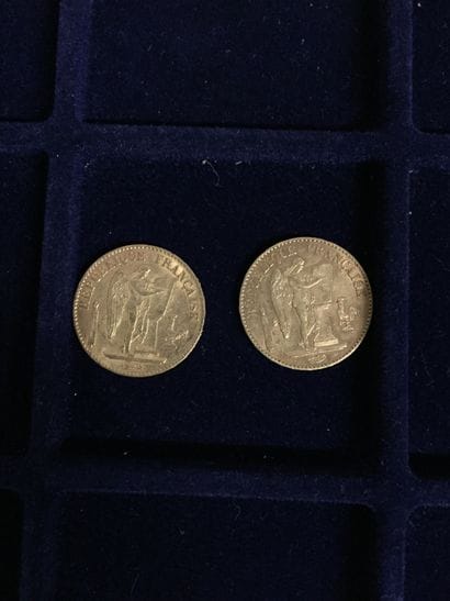 FRANCE
2 pièces or 20 francs Génie (1877...